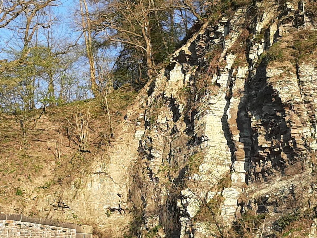 Hotel Garni-hotel-schaefer Schuld